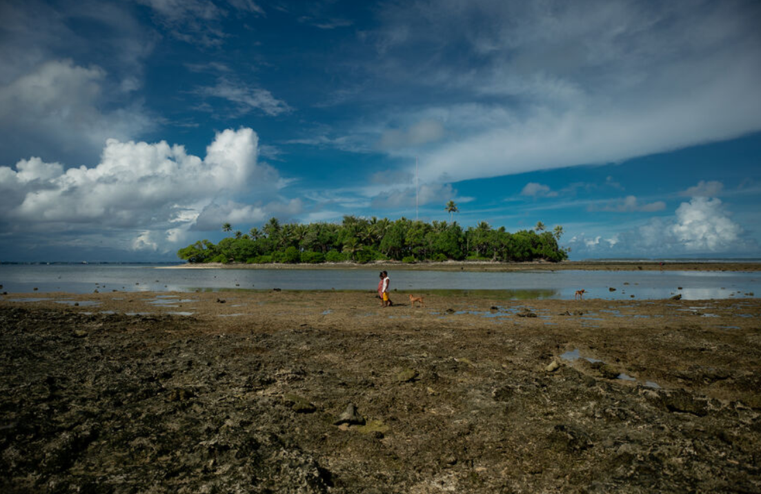 Story Grants to Support Environmental Reporting from Asia-Pacific Island Countries
