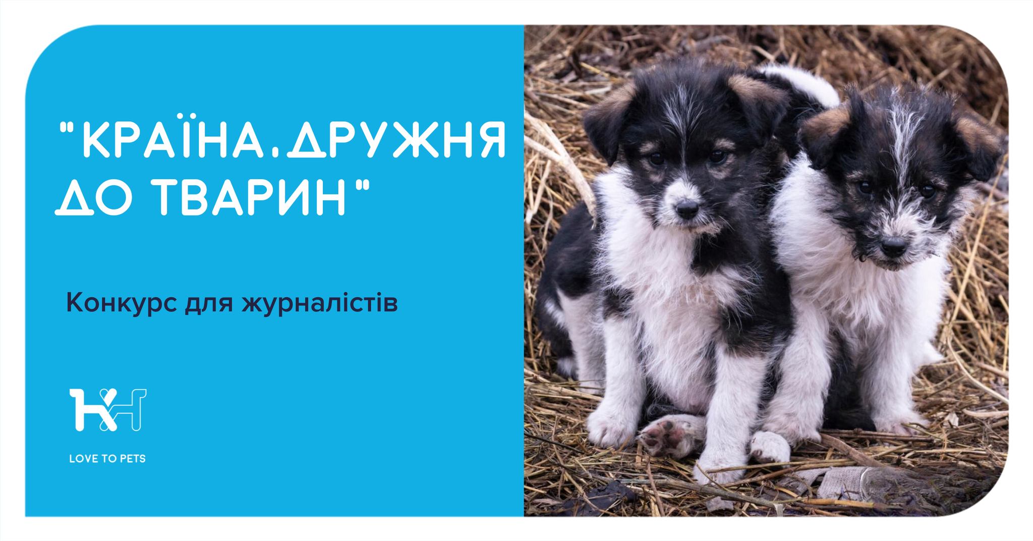 Contest for journalists covering animal welfare [Ukraine]