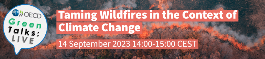 OECD hosts webinar on wildfires management and climate change